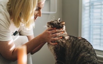 VetExpress Evde Veteriner