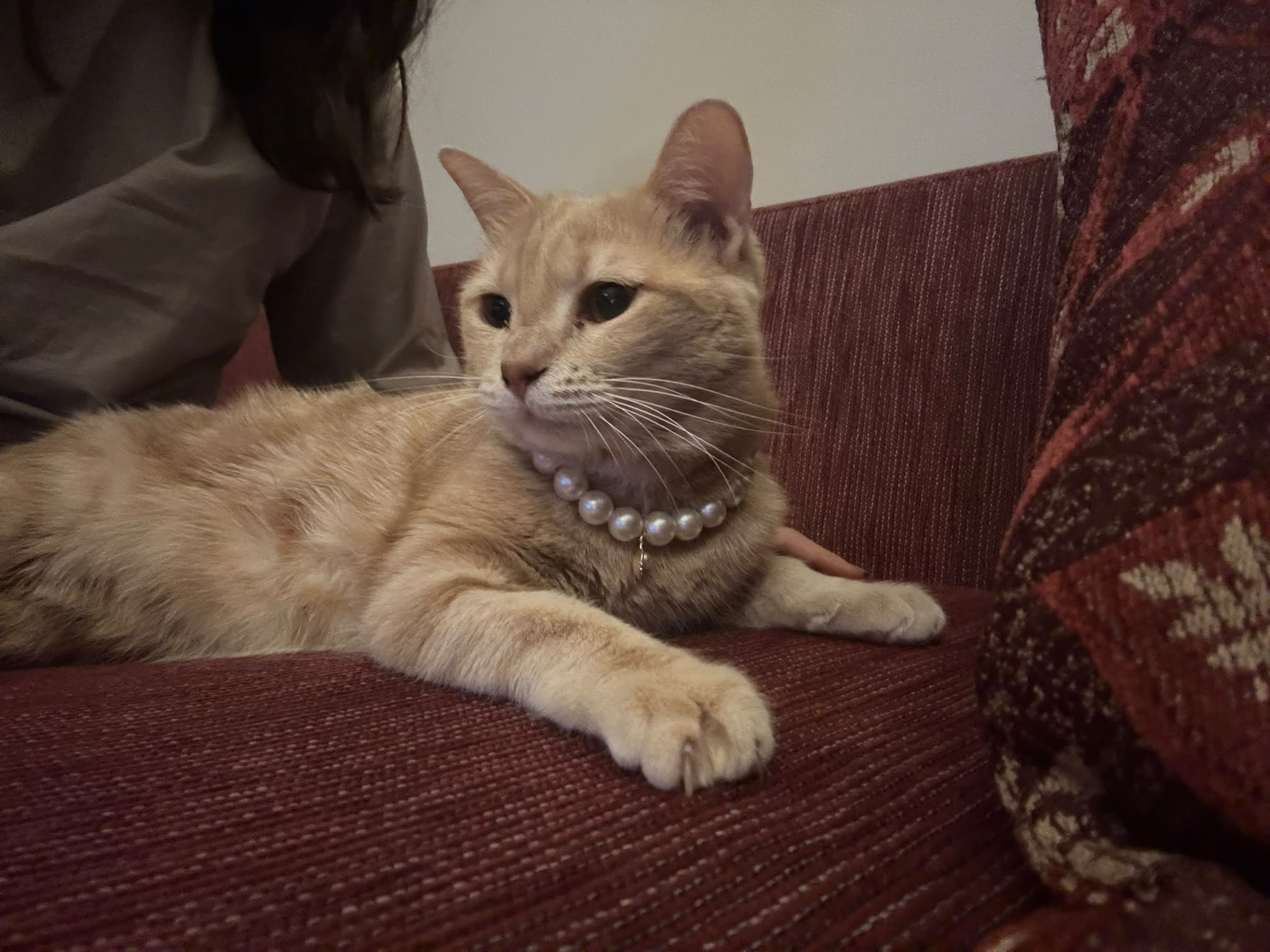 Görsel 2