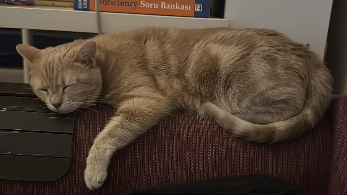 Görsel 4