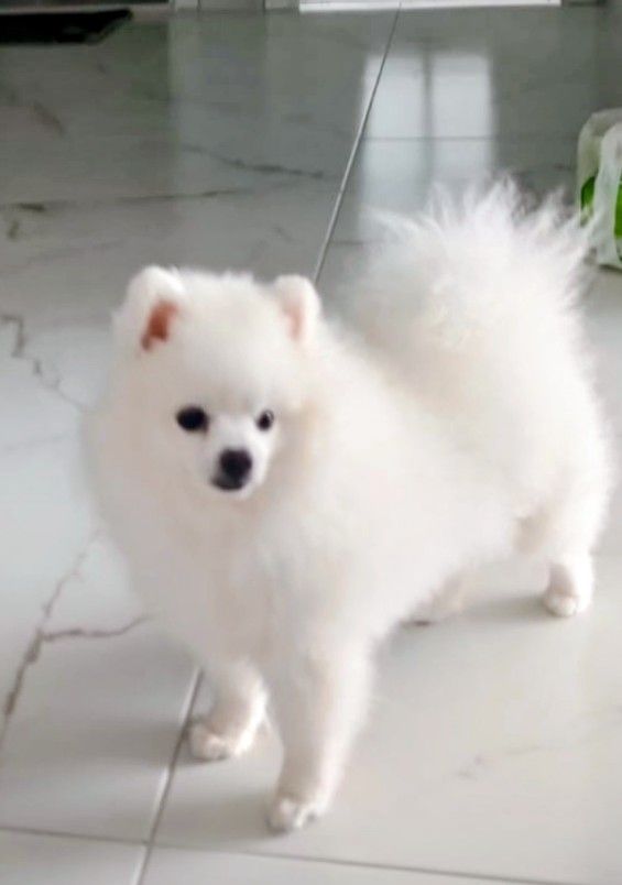 Görsel 2